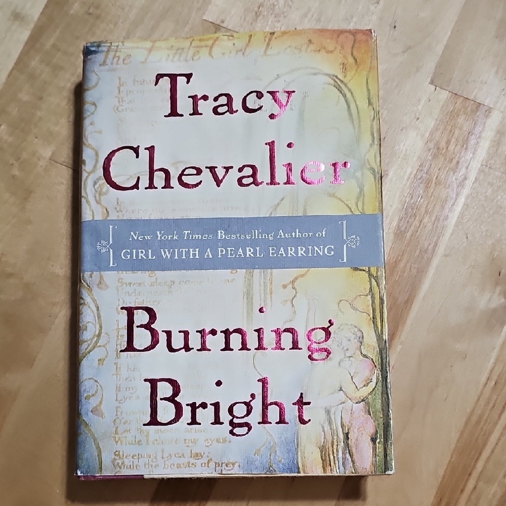 3 for $10 📖 Tracy Chevalier Burning Bright Hardback Book